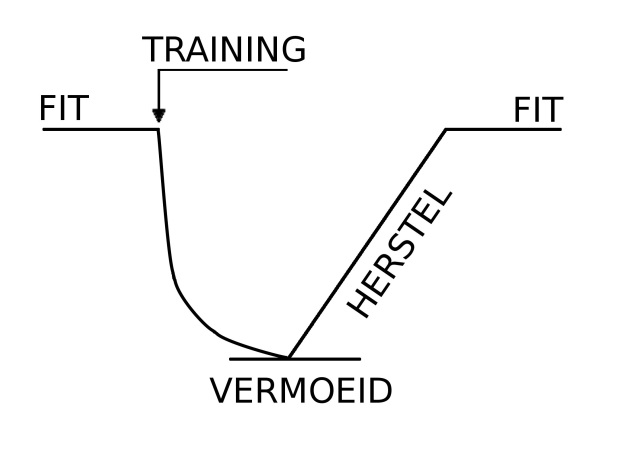 Basisprincipes van hardlooptraining